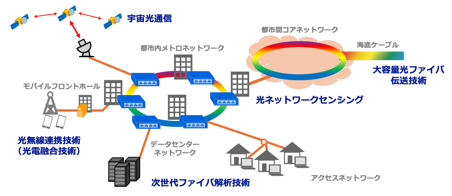 研究紹介 | 丸田研究室